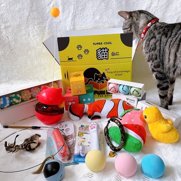 15 toys! Cat toy